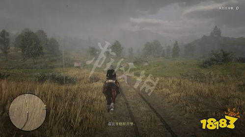 足迹蜥蜴荒野抓捕攻略