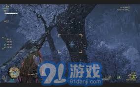 《怪物猎人荒野》足迹蜥蜴捕获攻略！