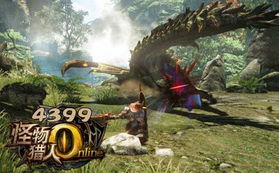 《怪物猎人荒野》端丽翼鸟位置速查攻略