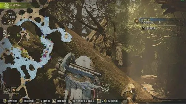 《怪物猎人荒野》端丽翼鸟位置攻略！快速找到！