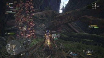 《怪物猎人荒野》足迹蜥蜴位置速查！快速找到！