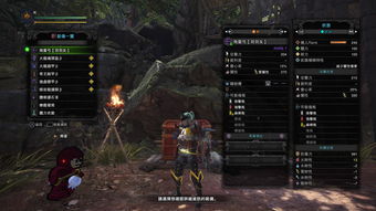 《怪物猎人荒野》弓调查队样式路线速查 《怪物猎人荒野》弓调查队样式路线速查