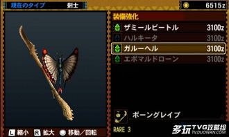 《怪物猎人》操虫棍护火龙样式路线速查