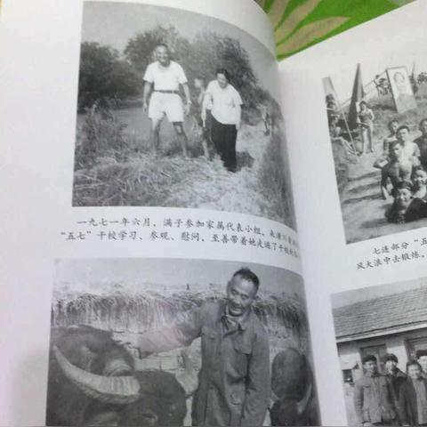 《荒野》新手系统攻略+开荒武器必选 《荒野》新手系统攻略+开荒武器必选