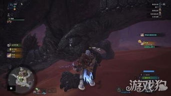 《怪物猎人》速刷大小金冠技巧揭秘 《怪物猎人》速刷大小金冠技巧揭秘