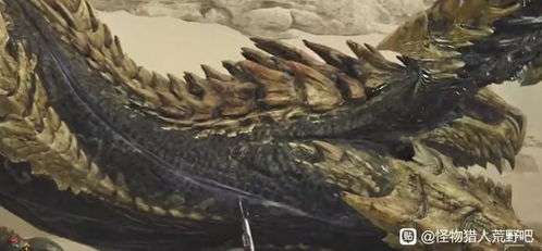 《怪物猎人荒野》煌雷龙充电技巧揭秘