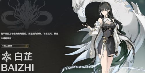 《鸣潮》布兰特声骸推荐:破解游戏音效痛点 《鸣潮》布兰特声骸推荐:破解游戏音效痛点