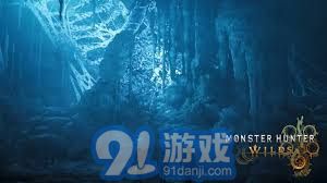 《怪物猎人荒野》冰雾断崖怪物大盘点!破解生态谜题 《怪物猎人荒野》冰雾断崖怪物大盘点!破解生态谜题