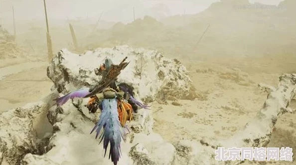 《怪物猎人荒野》伤口倍率揭秘:如何提升伤倍? 《怪物猎人荒野》伤口倍率揭秘:如何提升伤倍?