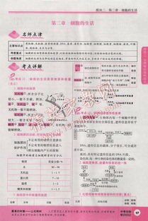 《如龙8外传》夏威夷测验答案速查! 《如龙8外传》夏威夷测验答案速查!