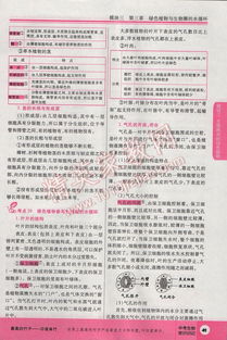 《如龙8外传》夏威夷海盗考试答案速查! 《如龙8外传》夏威夷海盗考试答案速查!