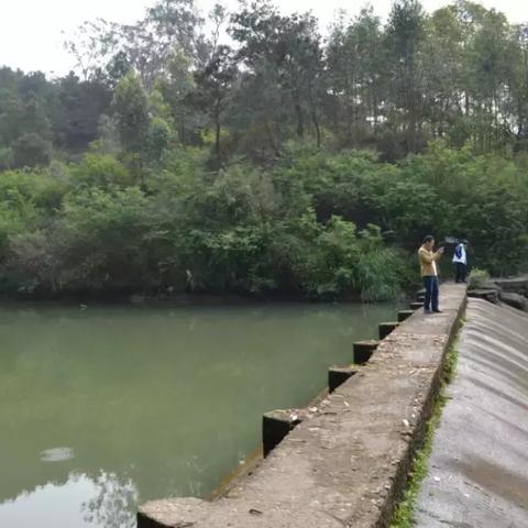 《荒野》武器上手难度排行,开荒必备攻略! 《荒野》武器上手难度排行,开荒必备攻略!