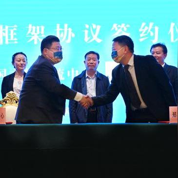 《文明7》拿破仑强度解析：如何提升战斗力？