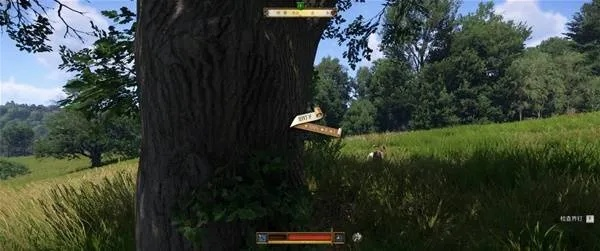 《天国拯救2》蛙鼠恩怨攻略：快速完成支线任务