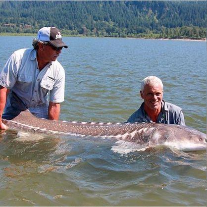 《英雄传说界》钓鱼点攻略：快速提升收益！