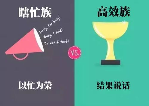 学生时代全阶段运营破解:告别痛点,高效升学! 学生时代全阶段运营破解:告别痛点,高效升学!