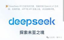DeepSeek官网快速入口 DeepSeek官网快速入口