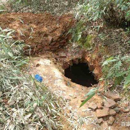 武器贼卡组攻略:如何构筑? 武器贼卡组攻略:如何构筑?