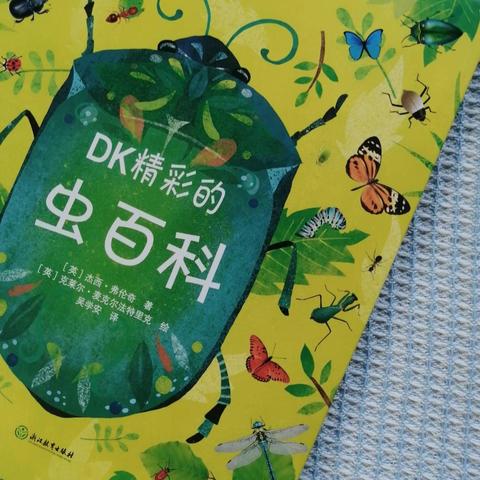 虫DK卡组攻略：如何构筑高效虫DK？