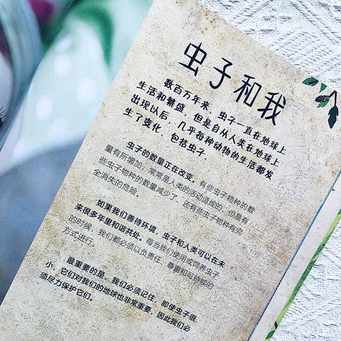 虫DK卡组攻略：如何构筑高效虫DK？