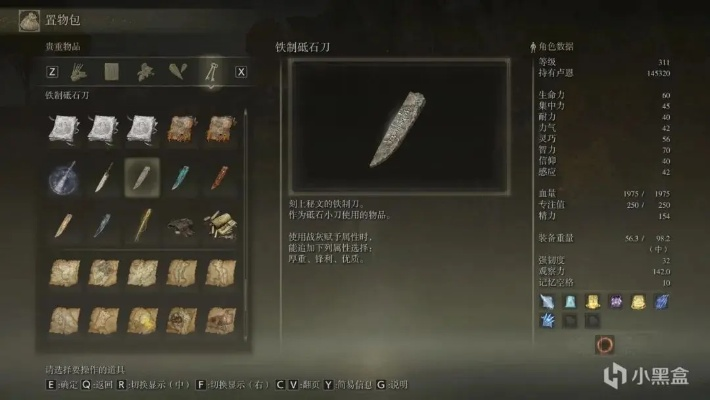 艾尔登法环圣域战灰获取攻略 艾尔登法环圣域战灰获取攻略