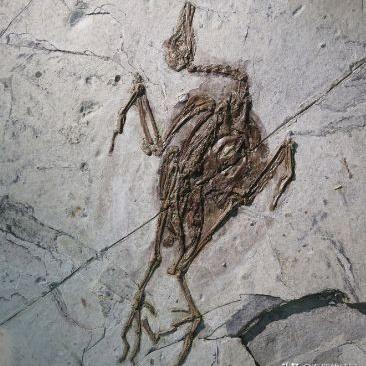 真三国无双起源飞翔脚怎么快速获得