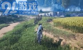 《燕云十六声》星隐野蹊跷攻略，快速收集秘籍！