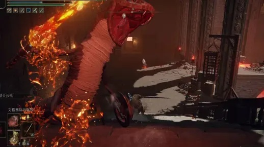 艾尔登法环：侍王骑士如何轻松战灰？