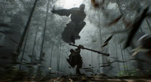 《黑神话悟空》金丹地图:黑风山必收点位攻略 《黑神话悟空》金丹地图:黑风山必收点位攻略