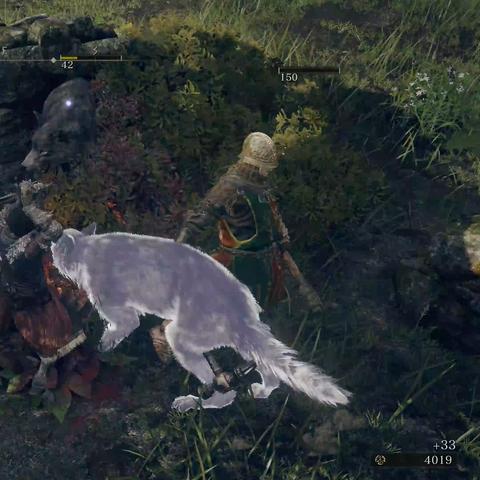 艾尔登法环:格挡匕首获取攻略揭秘 艾尔登法环:格挡匕首获取攻略揭秘