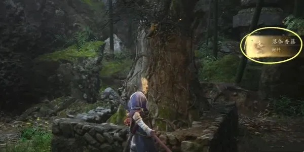 《黑神话悟空》落伽香藤在哪？盘丝岭新发现！