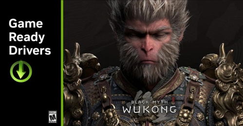 《黑神话悟空》全伤流配装,如何轻松连战? 《黑神话悟空》全伤流配装,如何轻松连战?