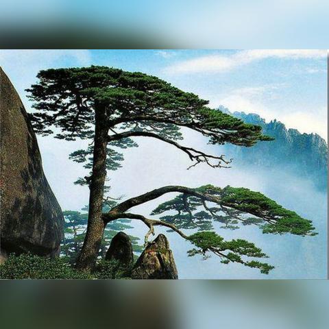 塞尔达荒野之息英杰之诗攻略:快速通关秘籍 塞尔达荒野之息英杰之诗攻略:快速通关秘籍