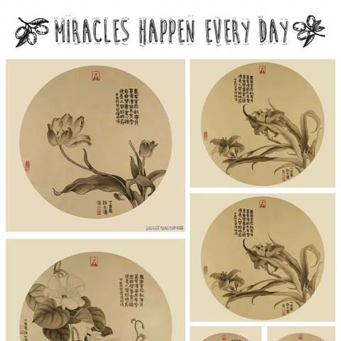 绝区零星见雅队最佳搭配 绝区零星见雅队最佳搭配