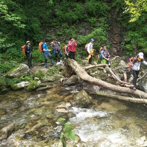 《无限暖暖》季春旗袍获取攻略！快速入手！