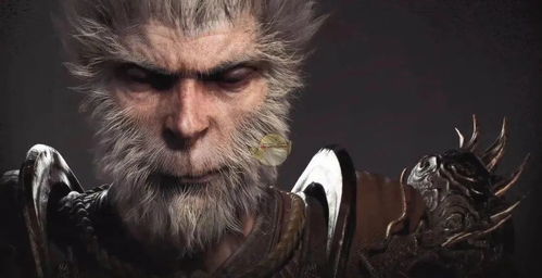 《黑神话悟空》PS5更新：PSSR功能来了，体验升级！