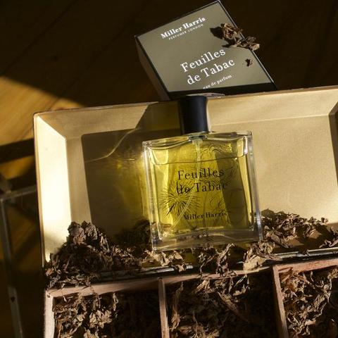 《无限暖暖》香氛材料获取攻略，快速上手！