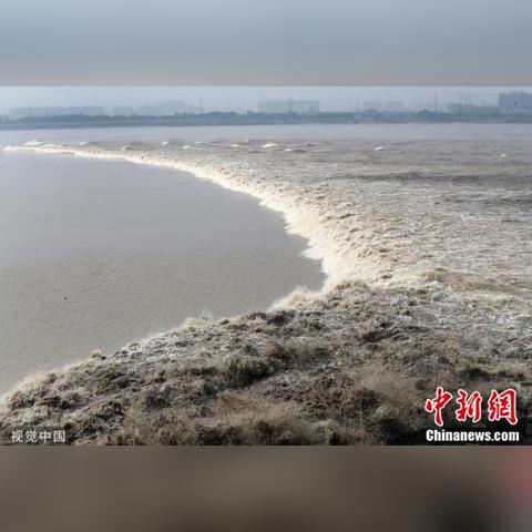 《诛仙鬼斩流煞鬼王攻略：轻松玩转鬼王！》