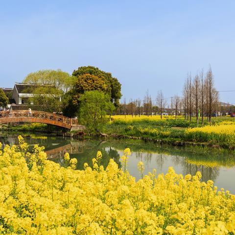 《无限暖暖》心愿原野第一天攻略,快速通关! 《无限暖暖》心愿原野第一天攻略,快速通关!