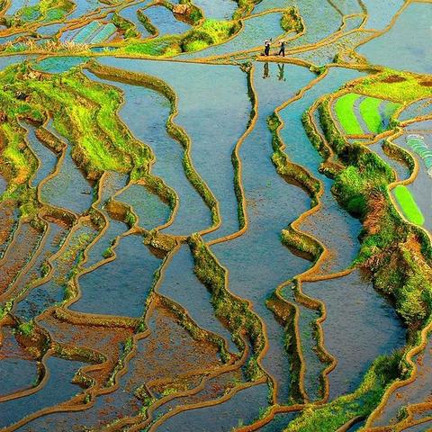 《无限暖暖》兑换码怎么用?快速获取攻略 《无限暖暖》兑换码怎么用?快速获取攻略