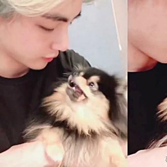 《无限暖暖》新手必看攻略!快速上手指南 《无限暖暖》新手必看攻略!快速上手指南