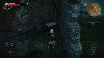 《巫师3》毒蛇学派装备攻略：快速获取秘籍！