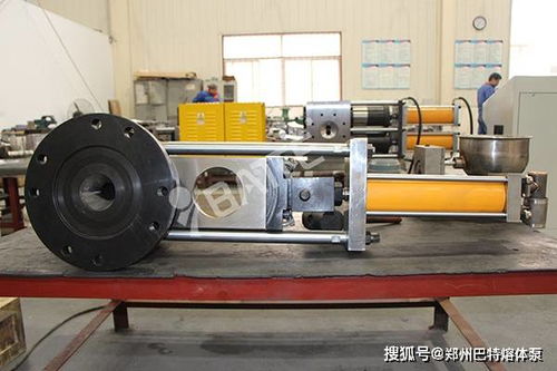 《无限暖暖》走丢绵羊任务攻略,快速找回! 《无限暖暖》走丢绵羊任务攻略,快速找回!