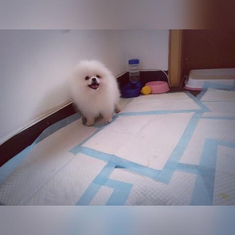 《无限暖暖》遗失日记本攻略:快速找回方法 《无限暖暖》遗失日记本攻略:快速找回方法