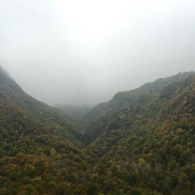 《雾锁王国》高画质配置需多少? 《雾锁王国》高画质配置需多少?