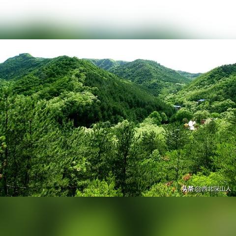 《雾锁王国》高画质配置需多少? 《雾锁王国》高画质配置需多少?