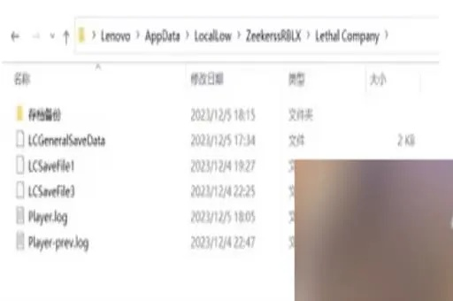 《致命公司存档位置备份教程》 《致命公司存档位置备份教程》
