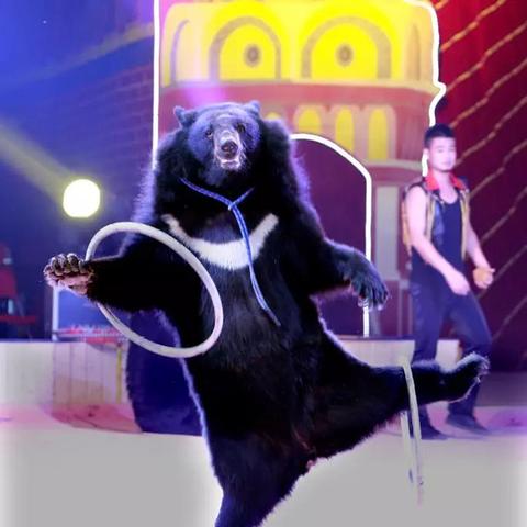 命运方舟小丑版收益一览,装等提升攻略 命运方舟小丑版收益一览,装等提升攻略