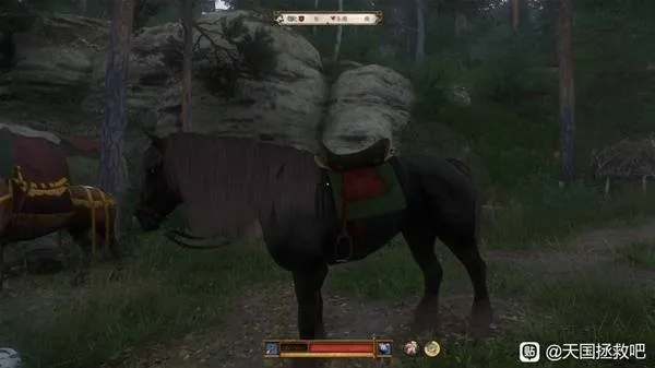 《天国拯救2》马匹草地位置速查攻略