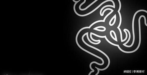 《暗黑4》灰屏闪退?速看解决攻略 《暗黑4》灰屏闪退?速看解决攻略